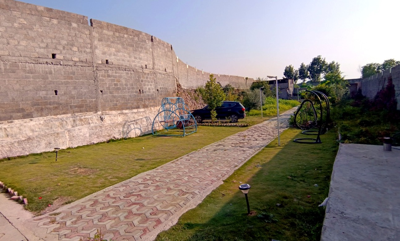 From City Desk to Farmhouse Life: Resetting My Work–Health Balance